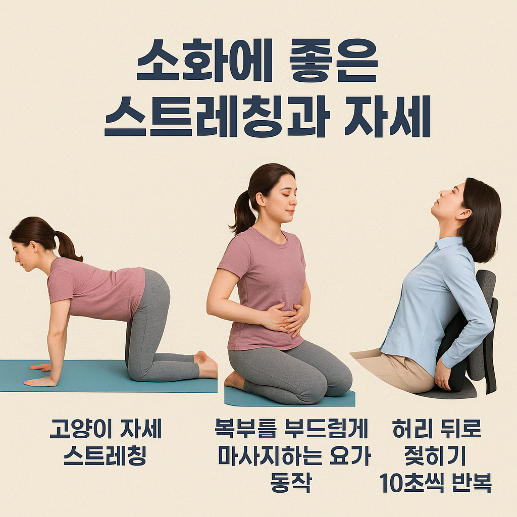 소화에 좋은 스트레칭과 자세