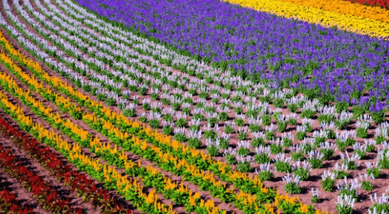 일본 소도시 여행: 나만의 일본을 위한 완벽 가이드