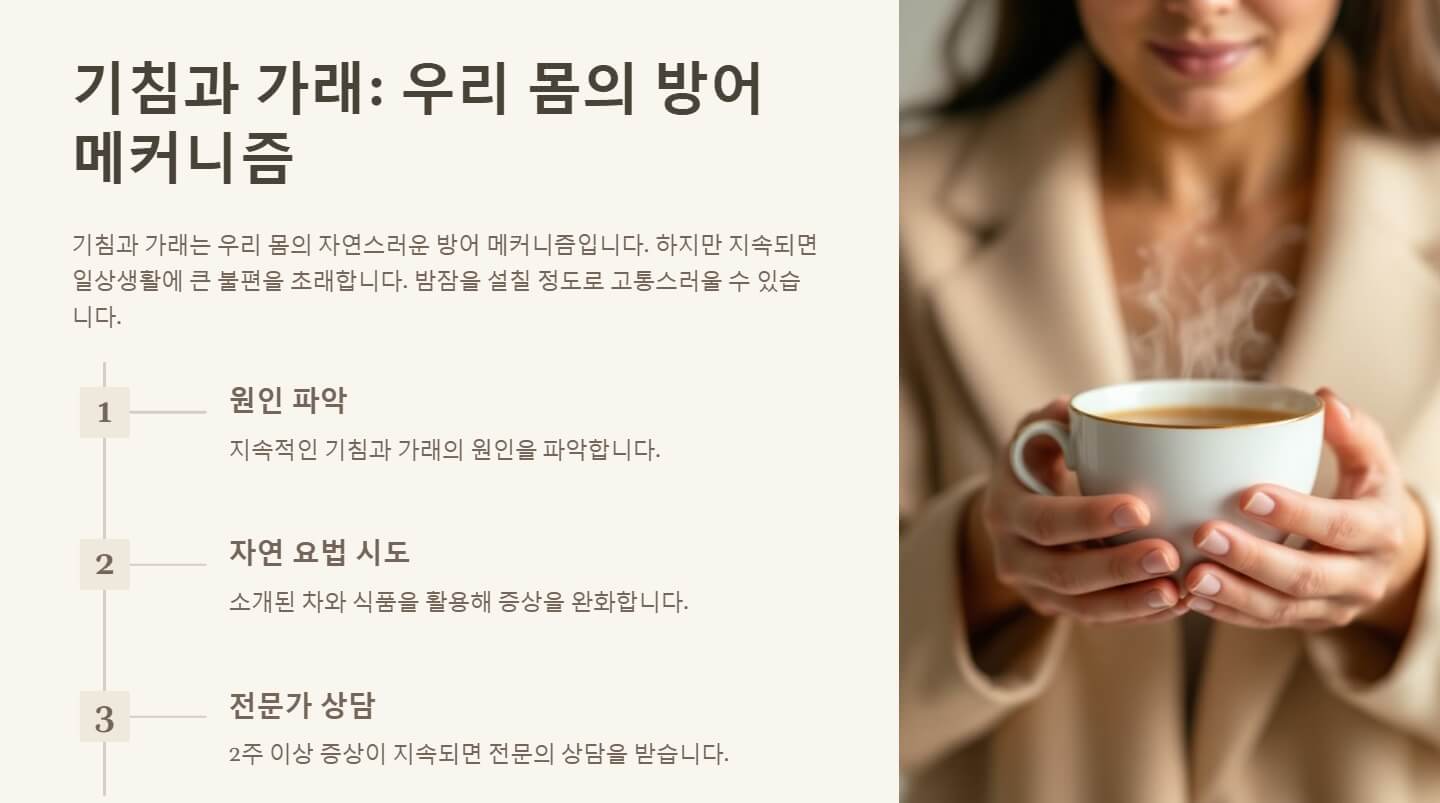 기침 가래에 좋은 차