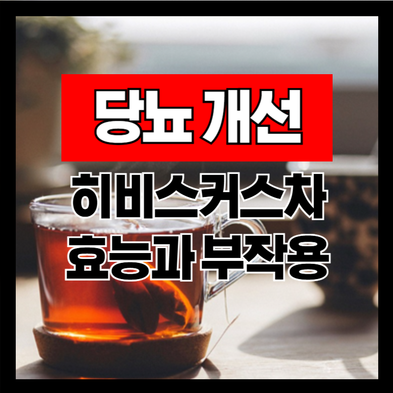 당뇨에 좋은 히비스커스차 효능과 부작용 올바른 섭취방법 총정리 (Hibiscus)