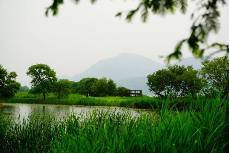 남양주 물의정원