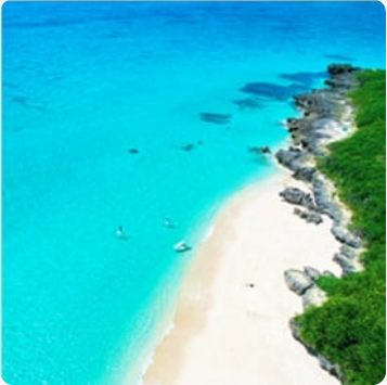 진에어 진마켓 항공권예약