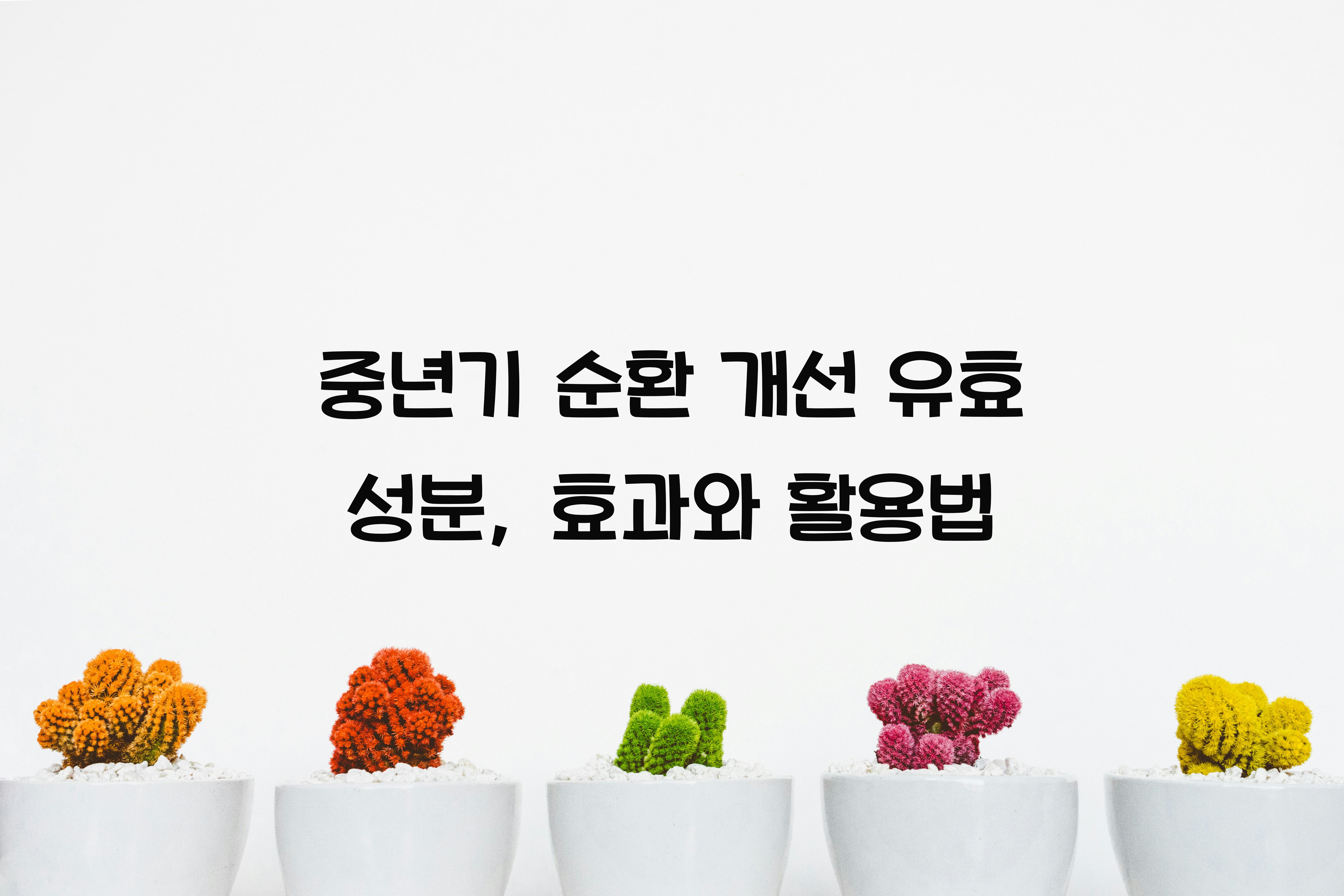 중년기 순환 개선 유효 성분