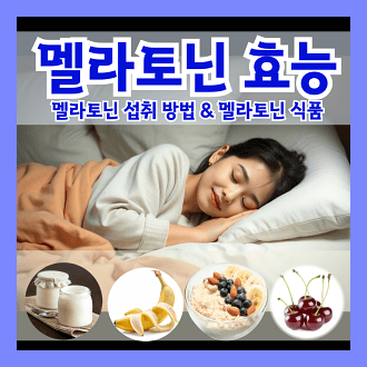 멜라토닌의 효능 멜라토닌 섭취 방법 멜라토닌 포함된 식품
