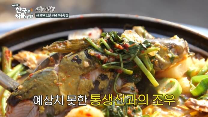 어서와-한국은-처음이지-셰프의-노포투어-매운탕