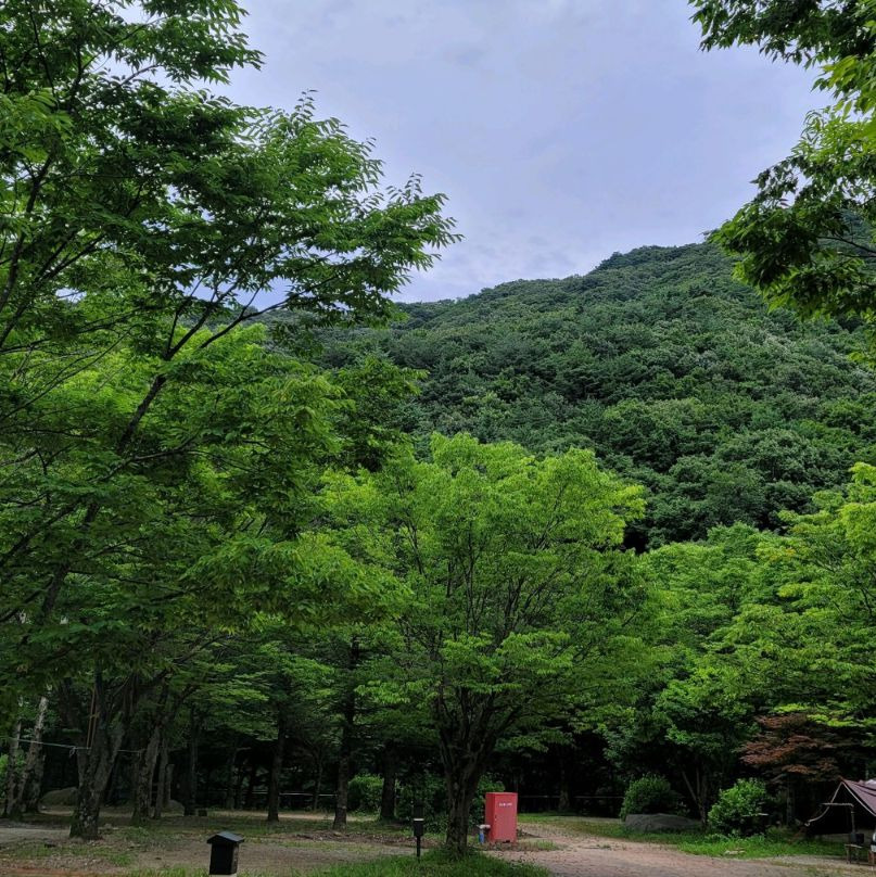 국립덕유산자연휴양림