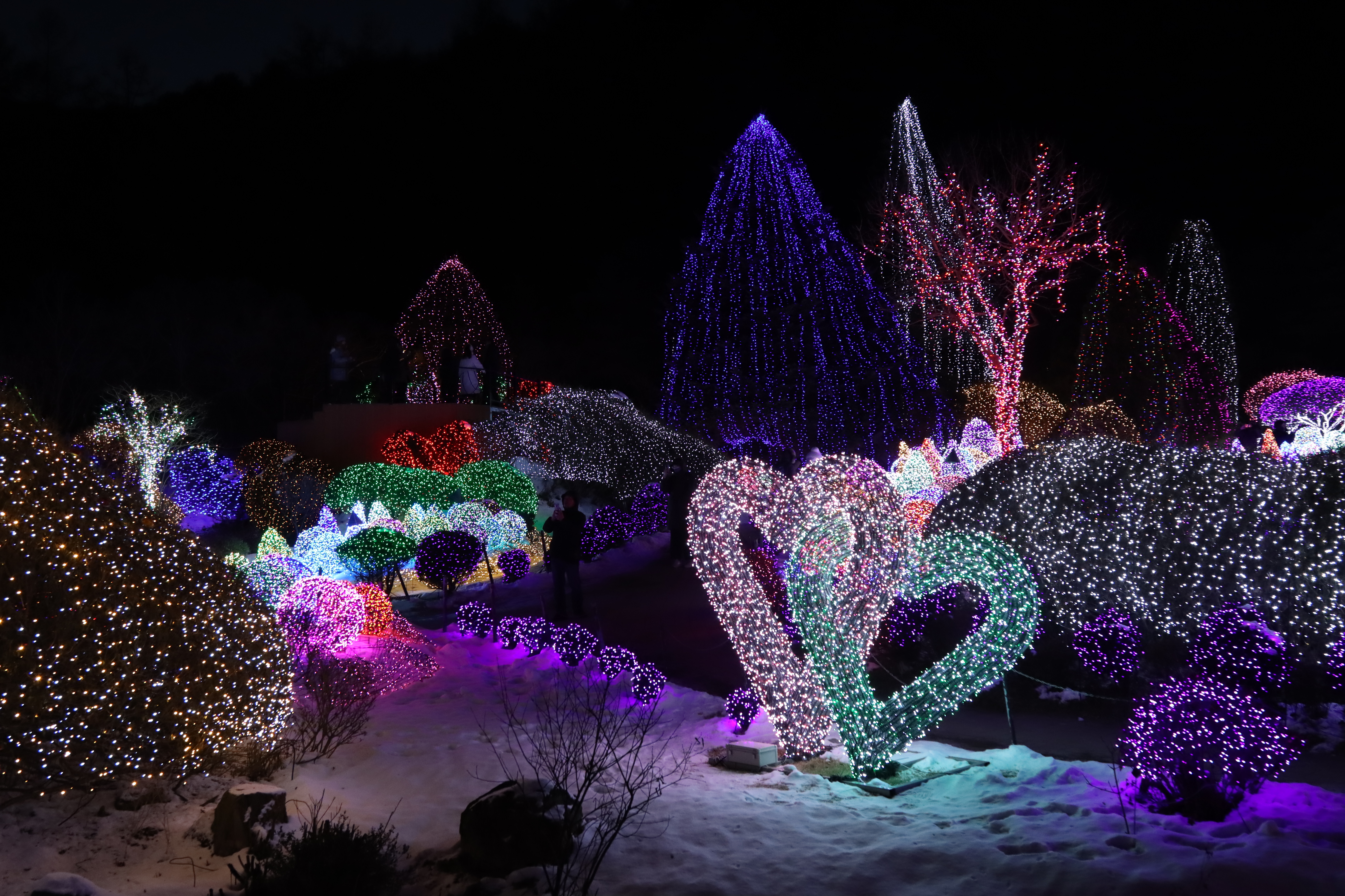 아침고요수목원