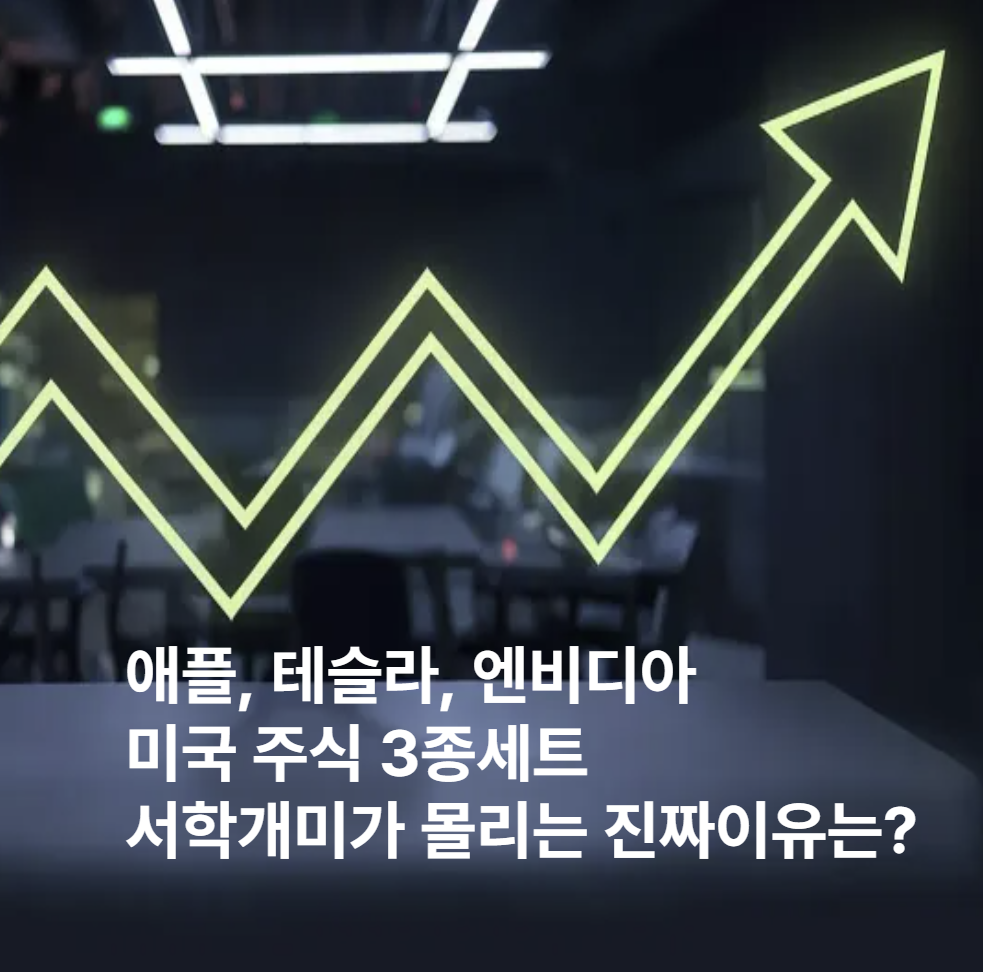 미국주식3종세트