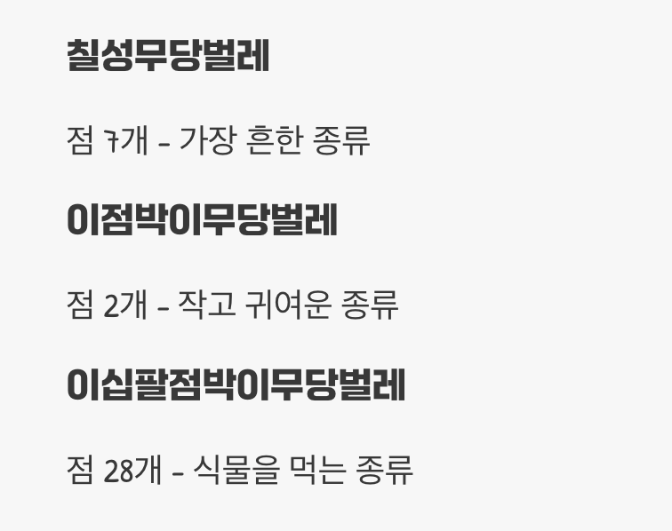 진실 2: 점은 '종류'를 알려주는 신분증
