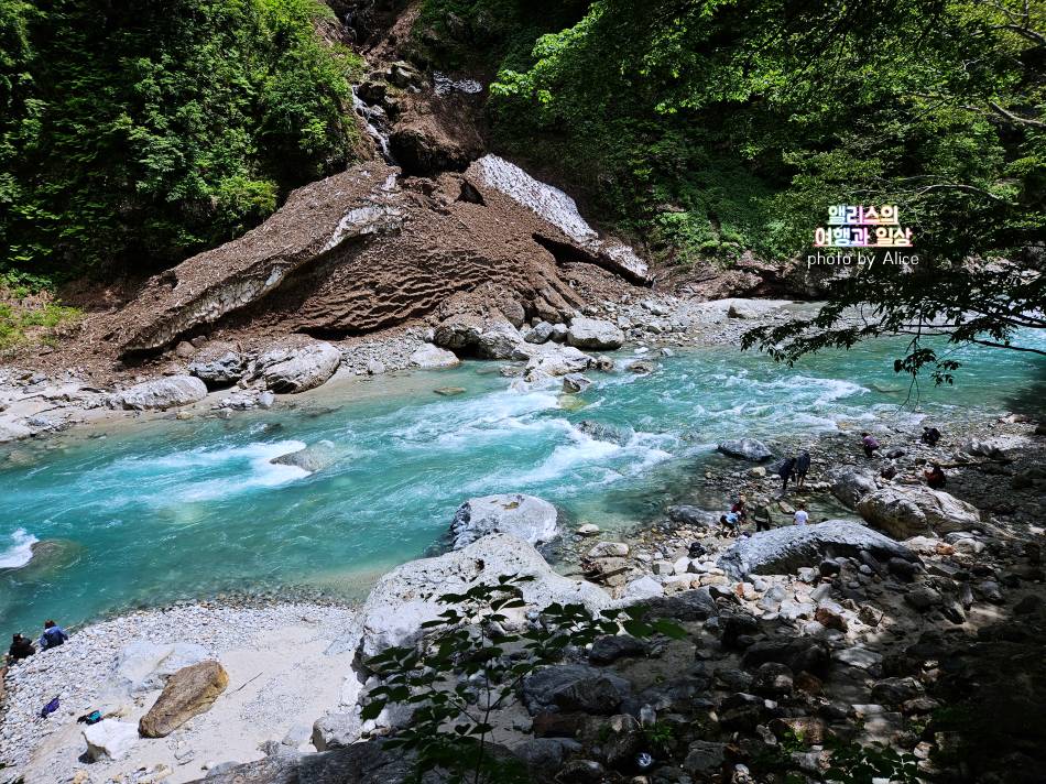 토롯코 구로베 협곡열차 가격 + 우나즈키 당일 온천 이용후기 도야마 자유여행