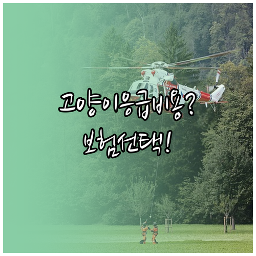 고양이 응급실 비용 대비 반려동물 보..