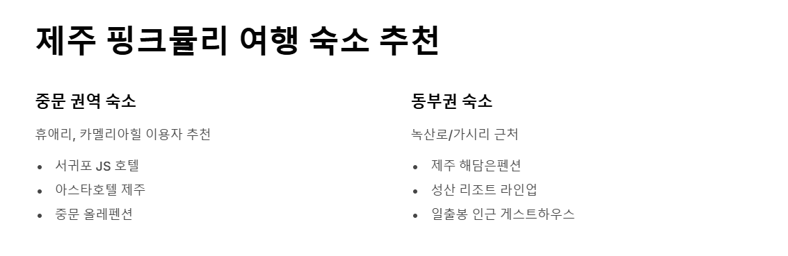제주 핑크뮬리 축제, 가을 감성 느낌 100%