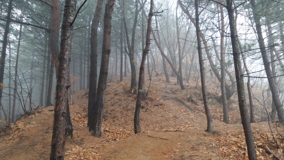 100대 명산 등산하기 여덟번째 파주 감악산(感岳山&amp;#44; 675m)은 경기 서북부를 대표하는 산