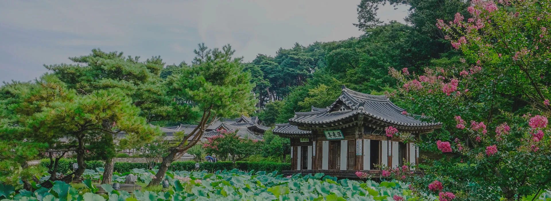 강릉 가볼만한곳 베스트10 맛집 놀거리_6