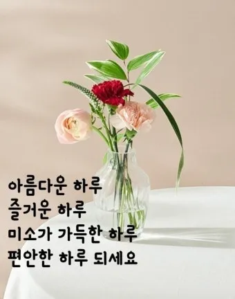 아침 인사 문자 날씨 변화에 맞춘 안부 문장 하루를 여는 표현_17