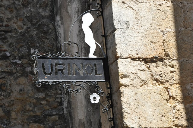 전립선 건강에 좋은 음식 좋은 운동 습관