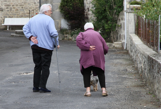 만65세이상 독거노인