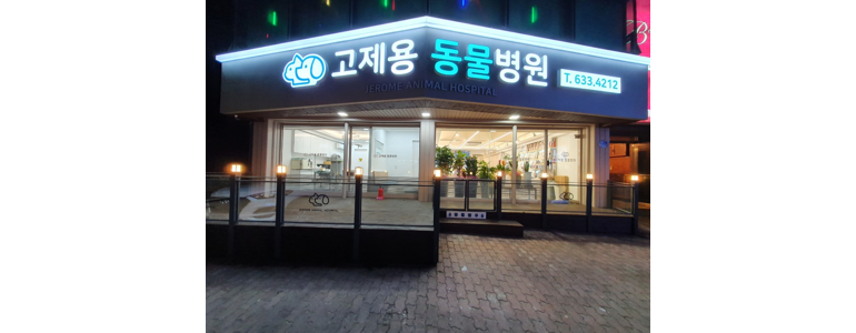 속초시 동물병원