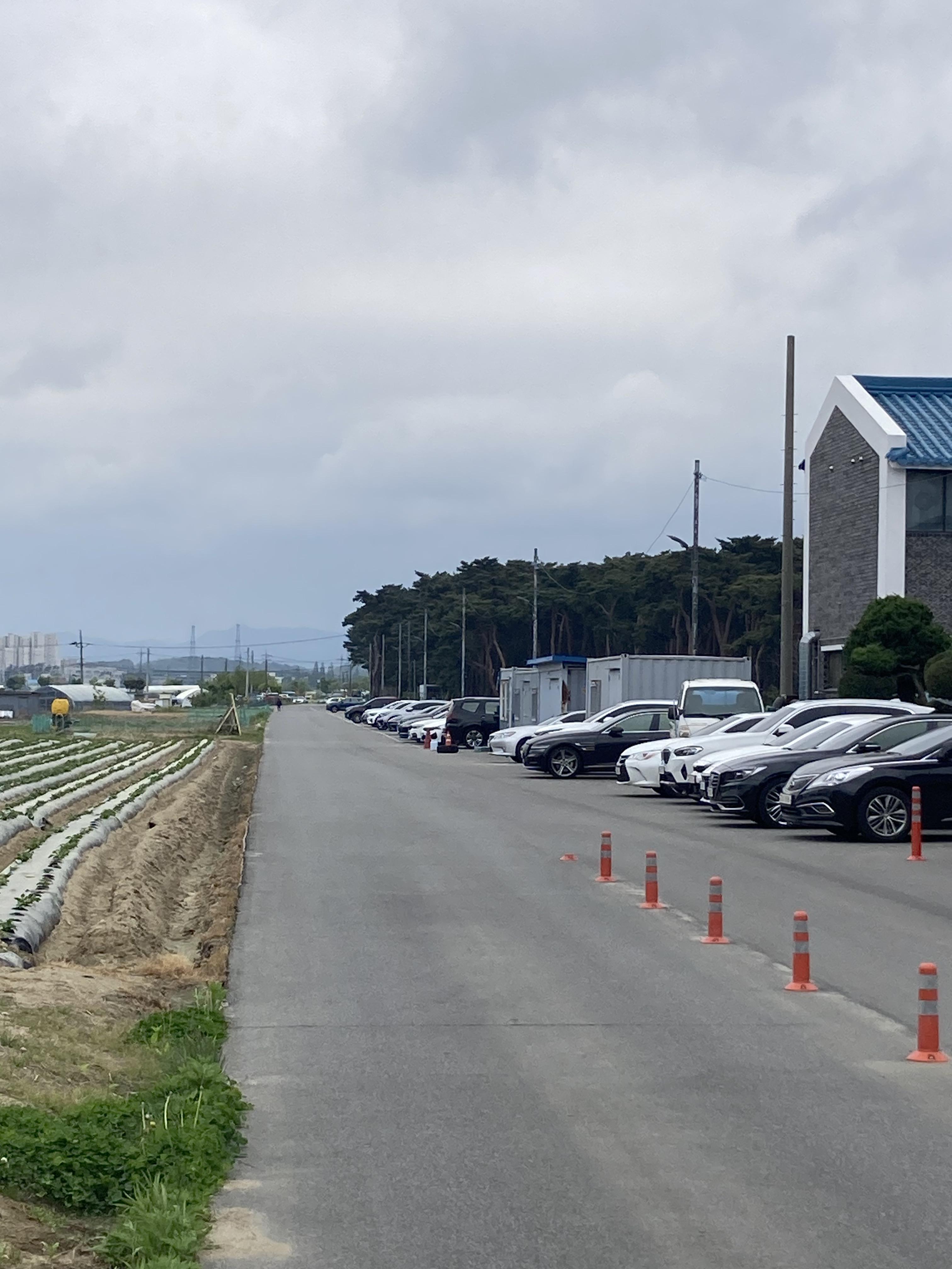 강릉 초당순두부 맛집 동화가든 본점 주차 꿀팁