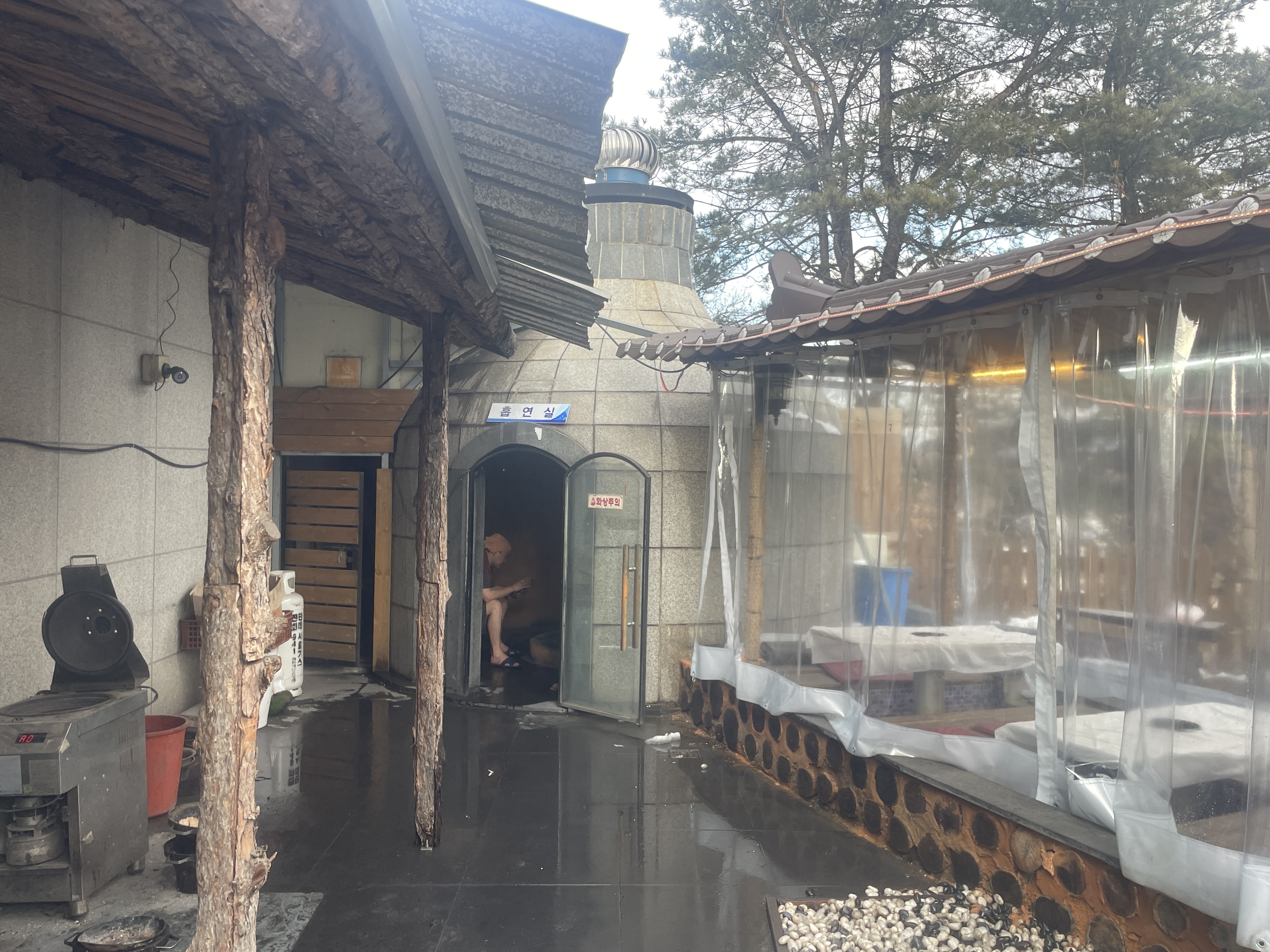 홍삼스파