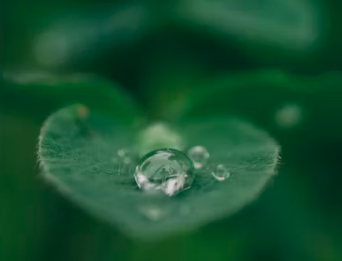 국민연금 유족연금 수령조건 국민연금 유족연금비율 수령액