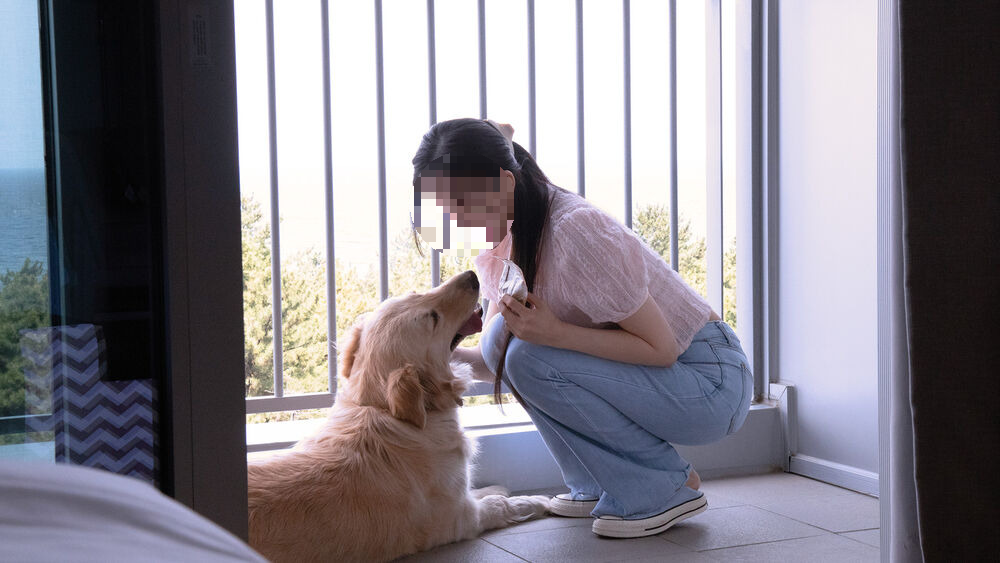 강릉 세인트존스호텔│오션뷰&middot;수영장&middot;무료 취소 팁까지