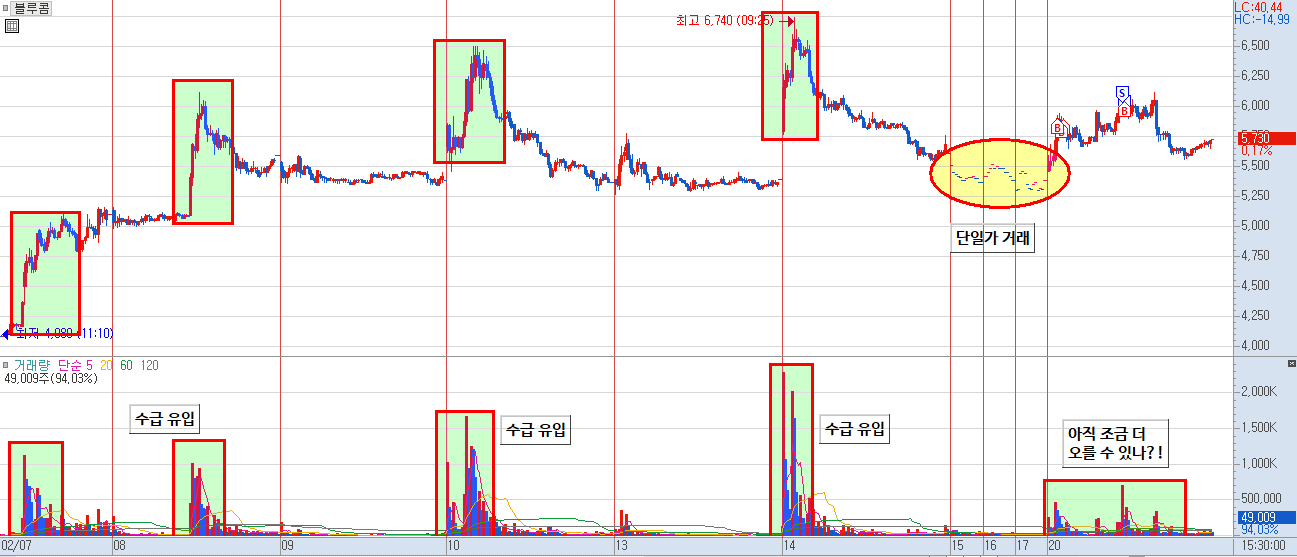 블루콤 분봉 수급