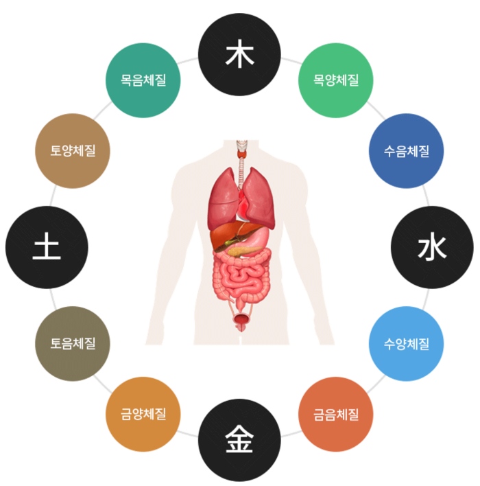 8체질 자가진단 테스트
