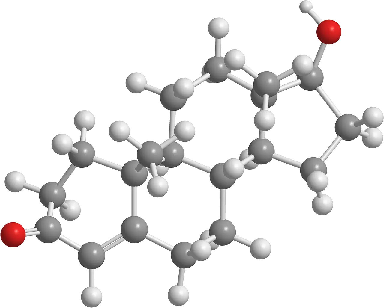 갱년기 호르몬 대체요법(HRT)&amp;#44; 정말 해도 괜찮을까? &amp;#124; 효과&amp;#44; 위험성&amp;#44; 진짜 이야기