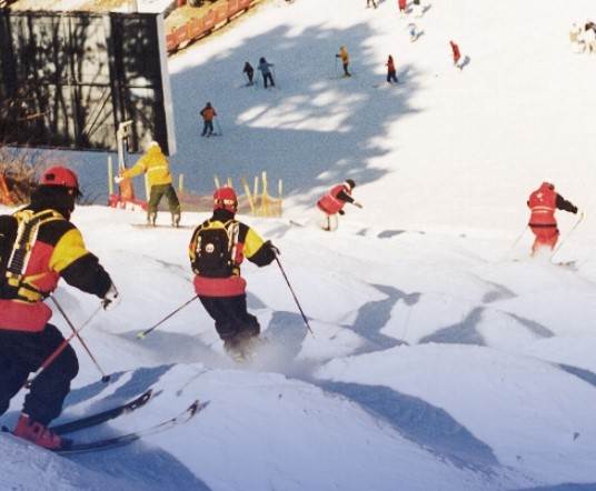 2025-2026 웰리힐리파크 스키장 개장 일정 & 시즌권 혜택 총정리