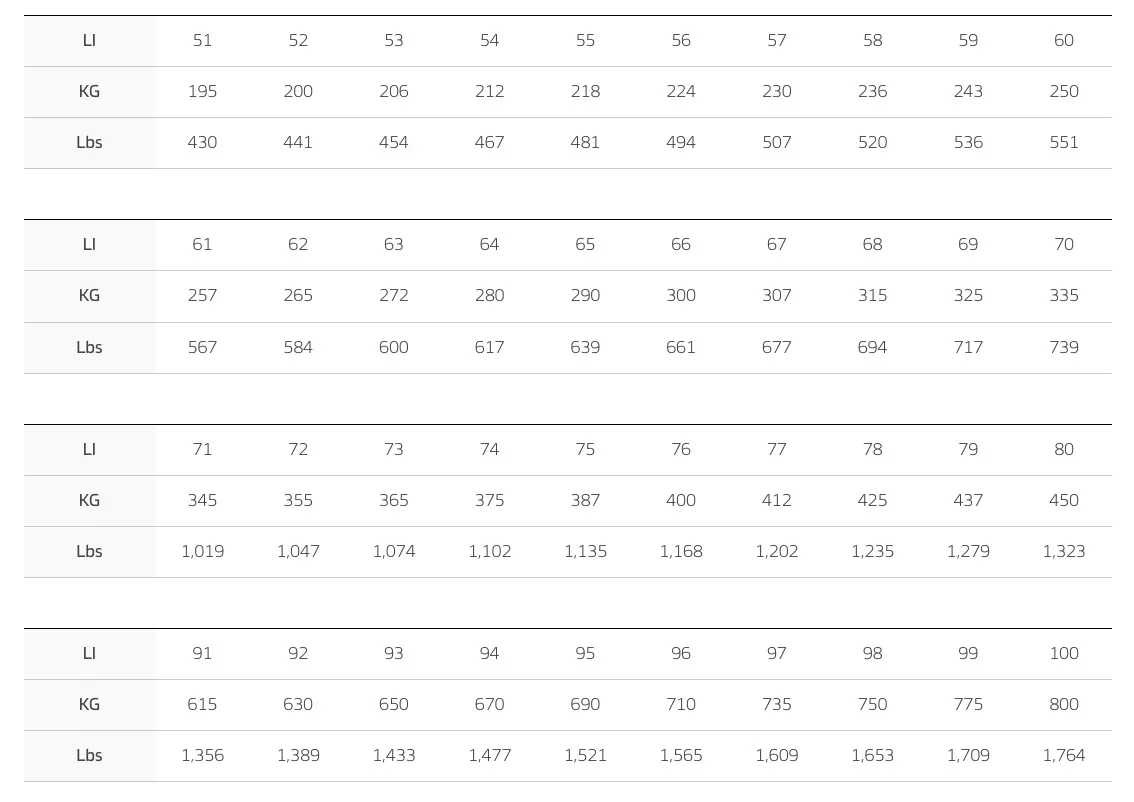 타이어 최대 하중