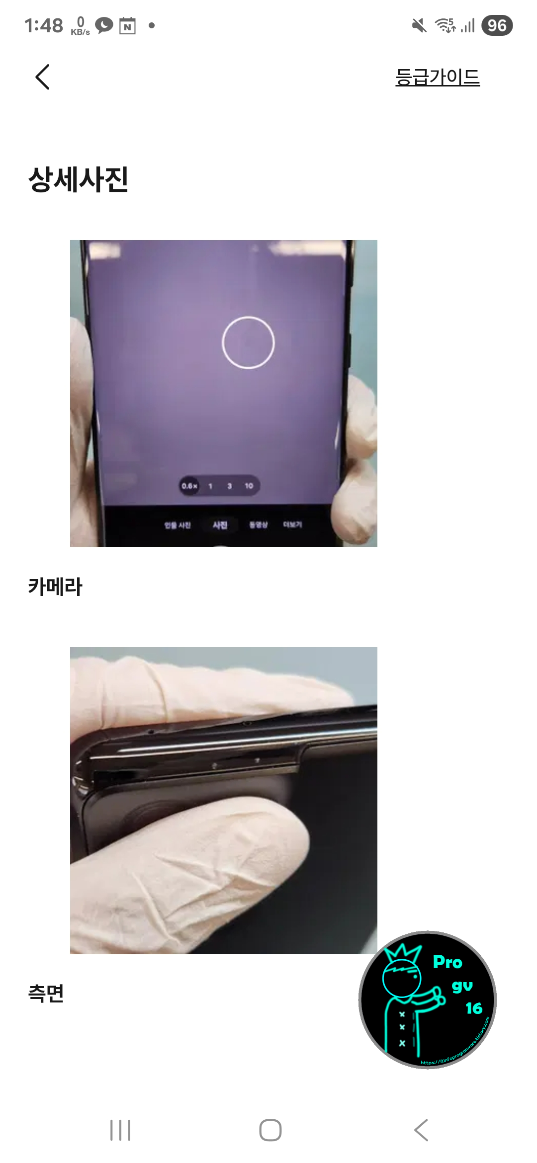 번장검수2