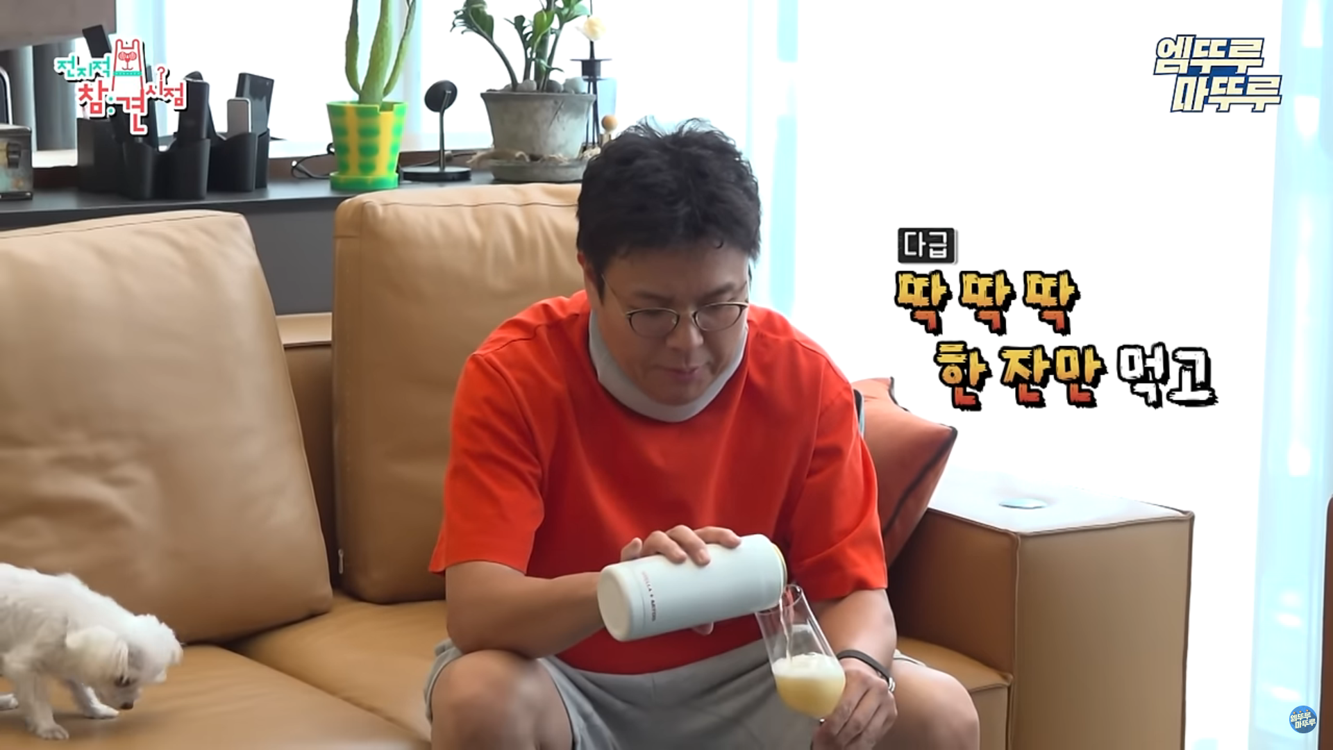 맥주캔쿨러 스텔라