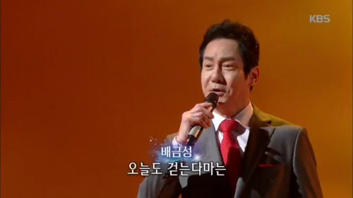 배금성 프로필