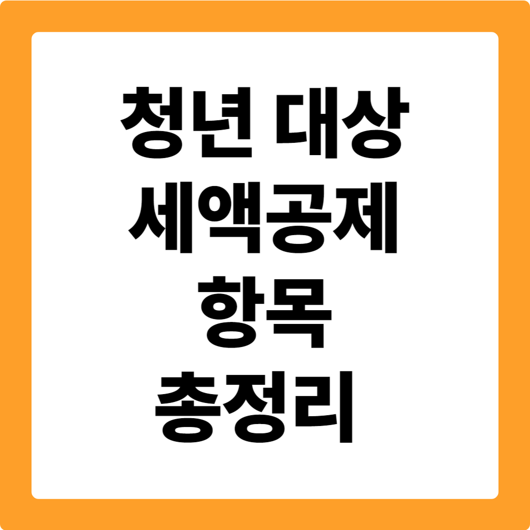 청년 세액공제 항목