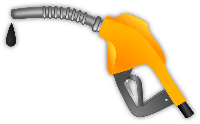 대구 민생회복지원금