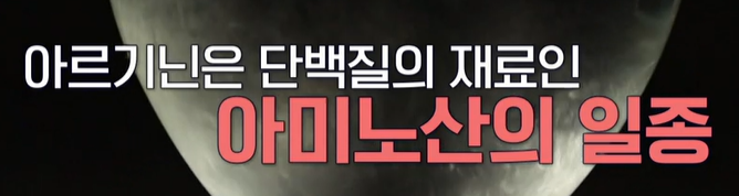아르기닌