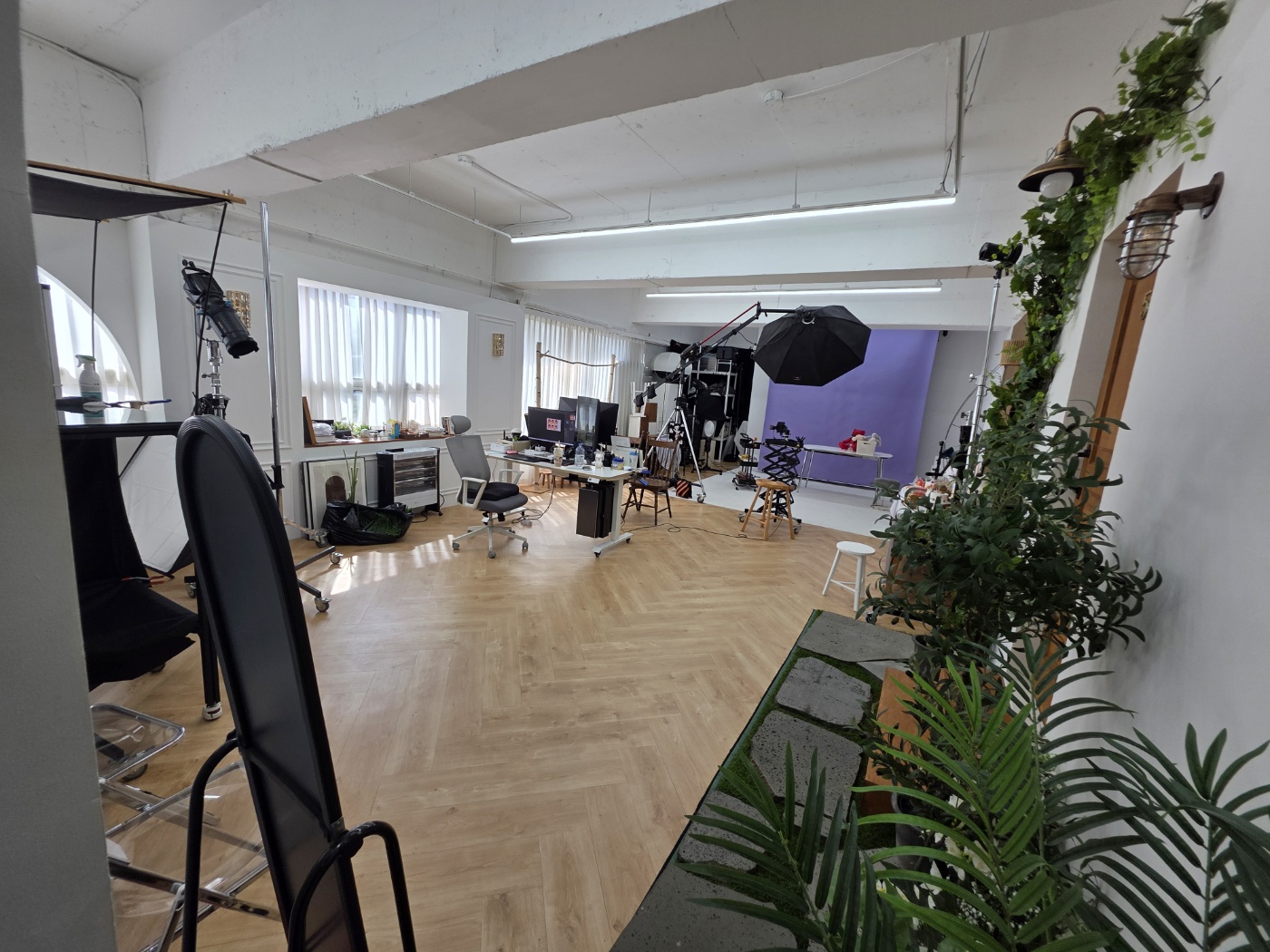 반려견 발바닥 사진 후기