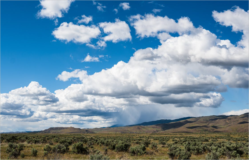 자동차민원 대국민포털, 자동차관련 다양한 온라인 서비스