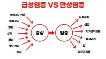급성과 만성영증