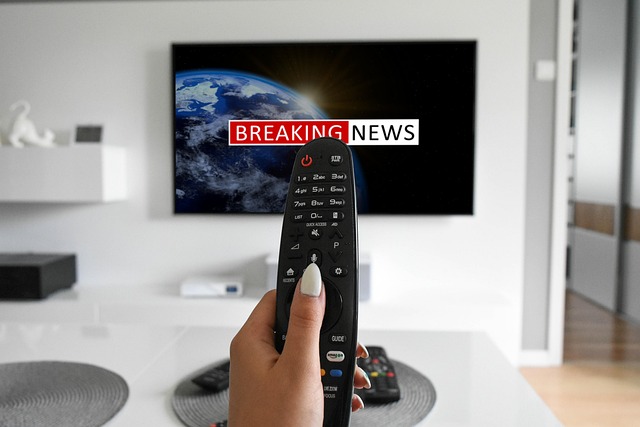 해외직구 TV 관련사진