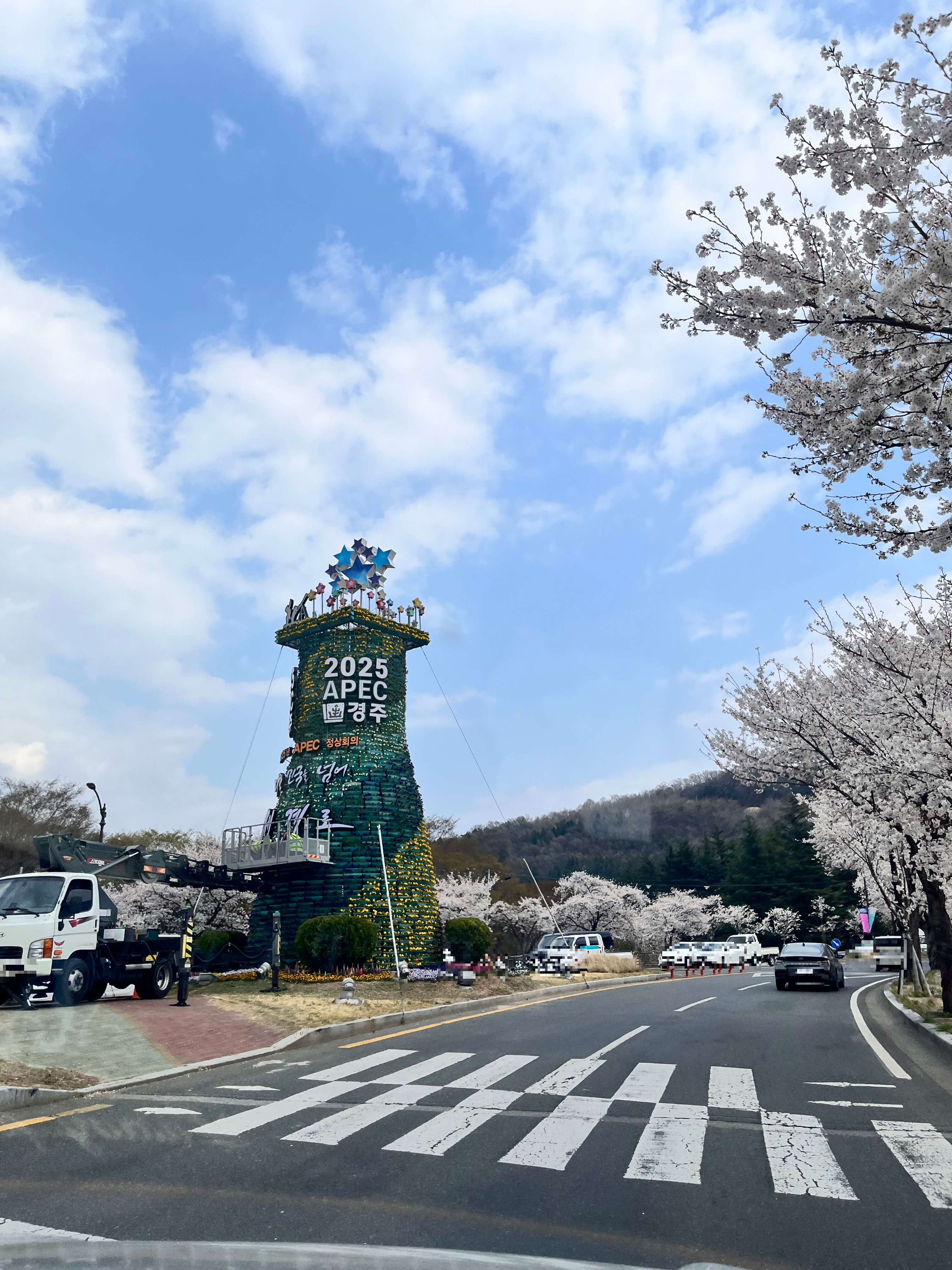 경주 벚꽃길