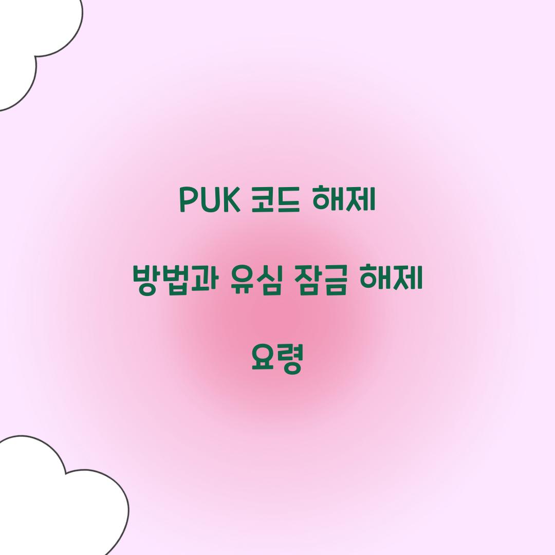 PUK 코드 해제 방법