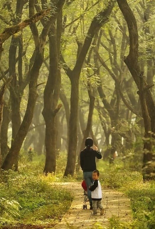 초보자도 OK! 5월 가볍게 다녀올 수 있는 등산 명소