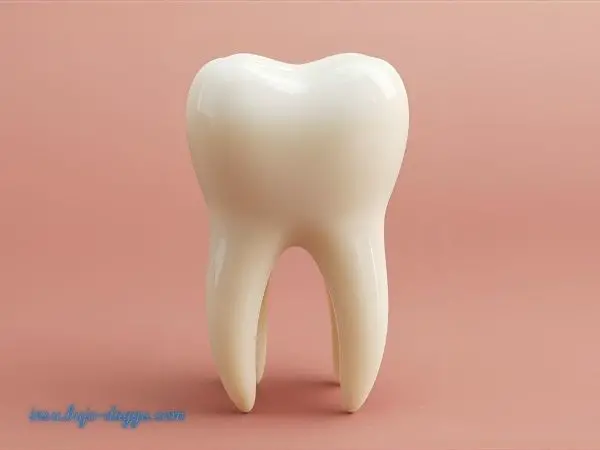 노인 임플란트 건강보험 적용 조건과 본인부담금 정리