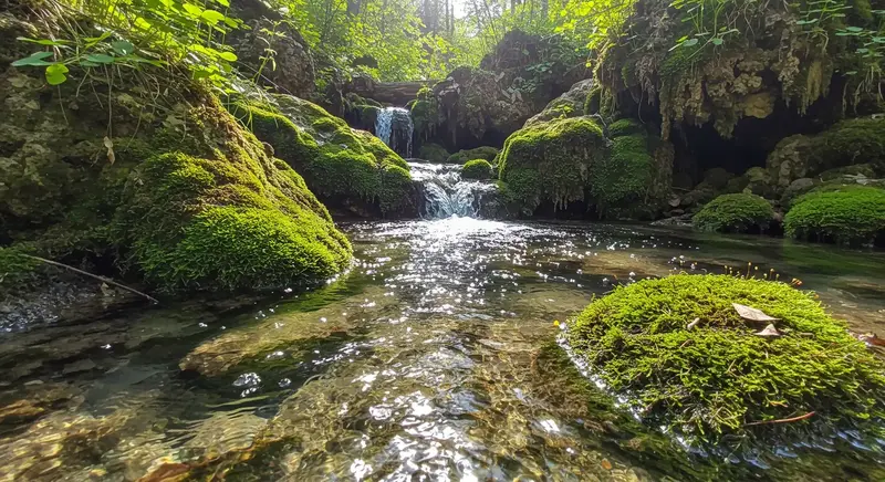 푸른 이끼와 작은 폭포가 어우러진 숲속 청정 계곡물, 자연 그대로의 생명력 있는 물