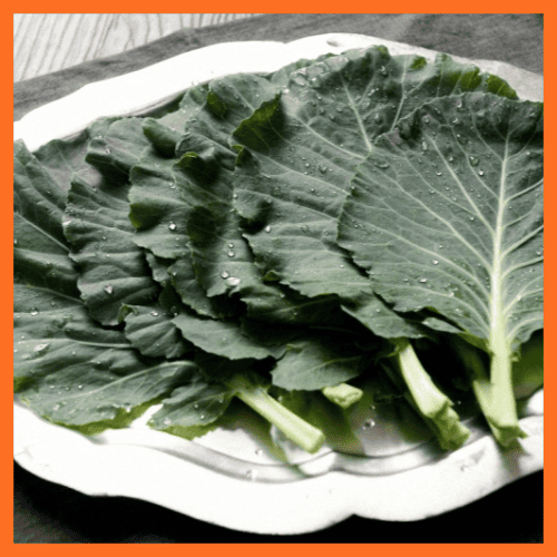 루테인 풍부 케일