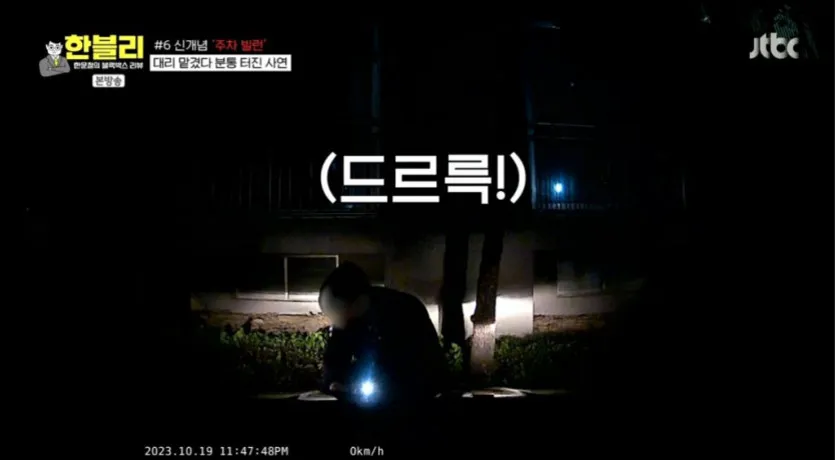 신개념 주차 빌런 대리 기사 16