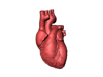 부종 원인 및 주의점