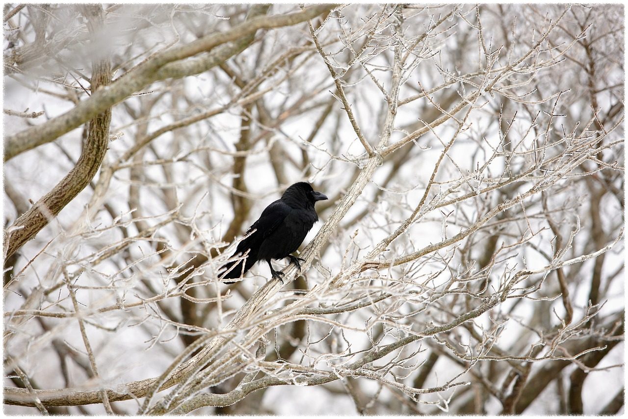 한라산 탐방로 예약 시스템